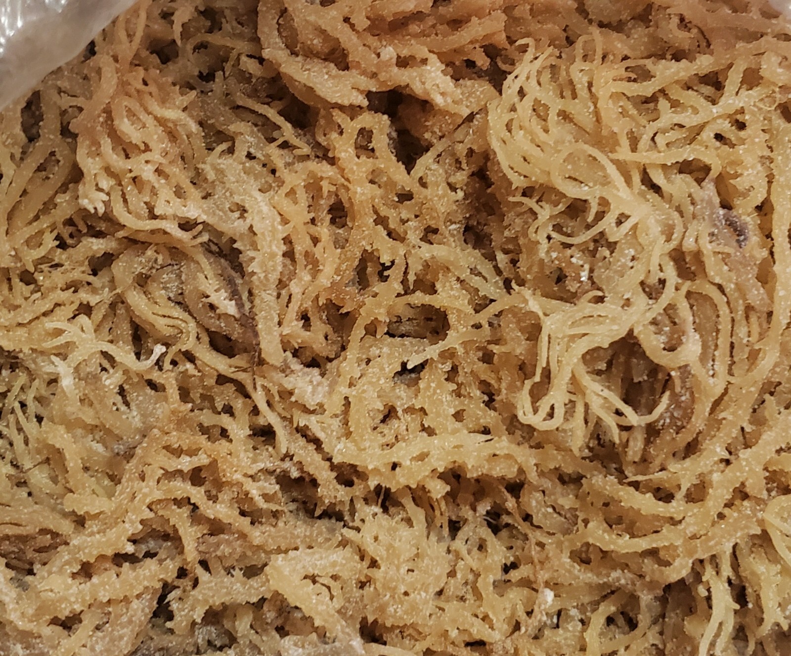 Irish Moss Sea Moss 2 lb Caribbean products - 32 Oz 🔥🔥