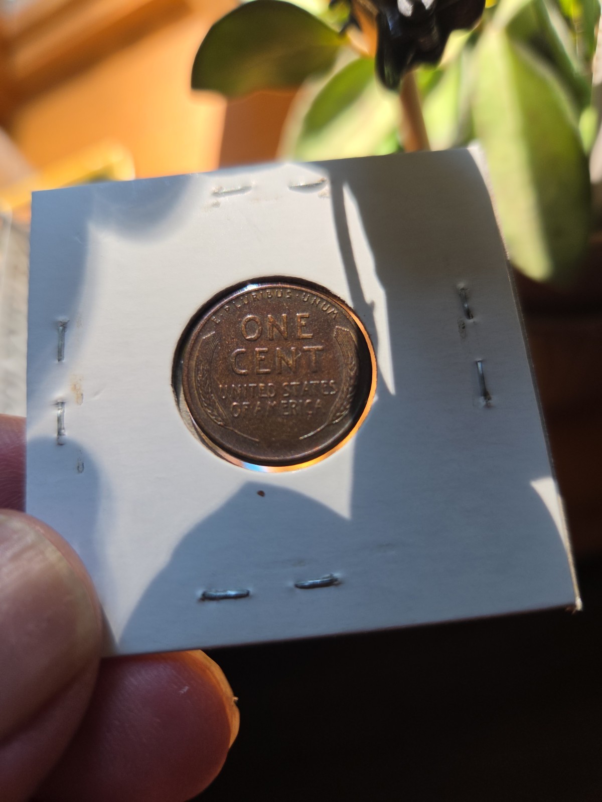 1928-s Rainbow Toning Lincoln Wheat Cent