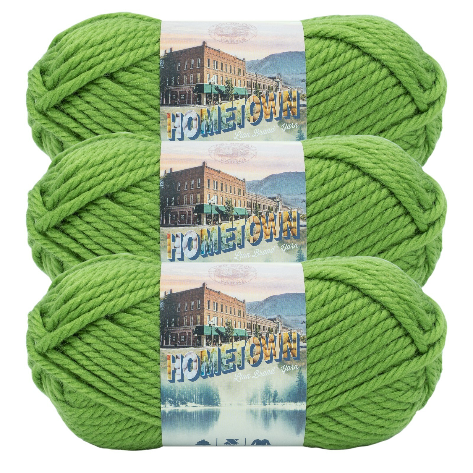 (3 Pack) Lion Brand Yarn 135-172D Hometown Bulky Yarn, Oklahoma City Green