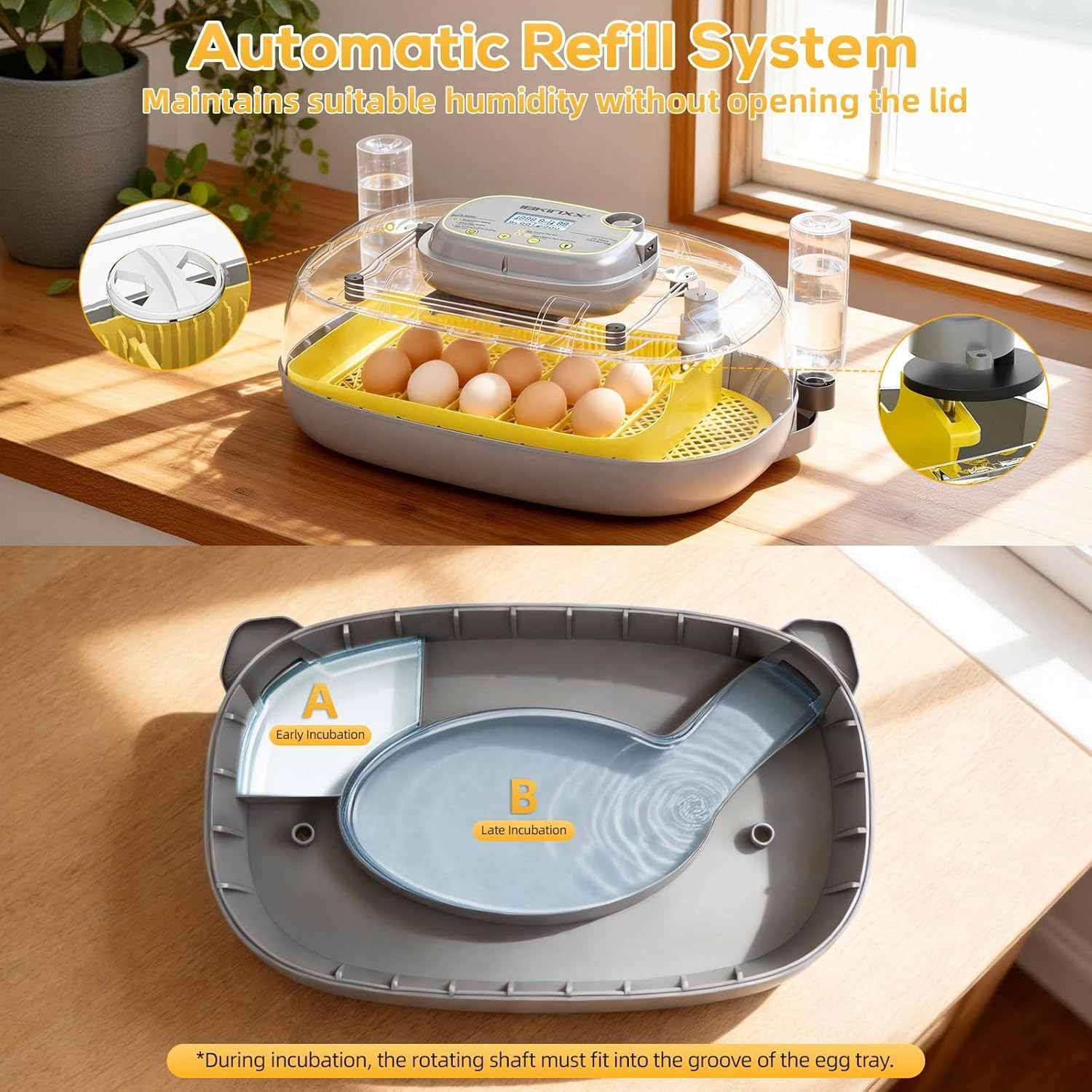 Incubator for Hatching Eggs-24 Egg Capacity, Automatic Egg Turner, Temperature &