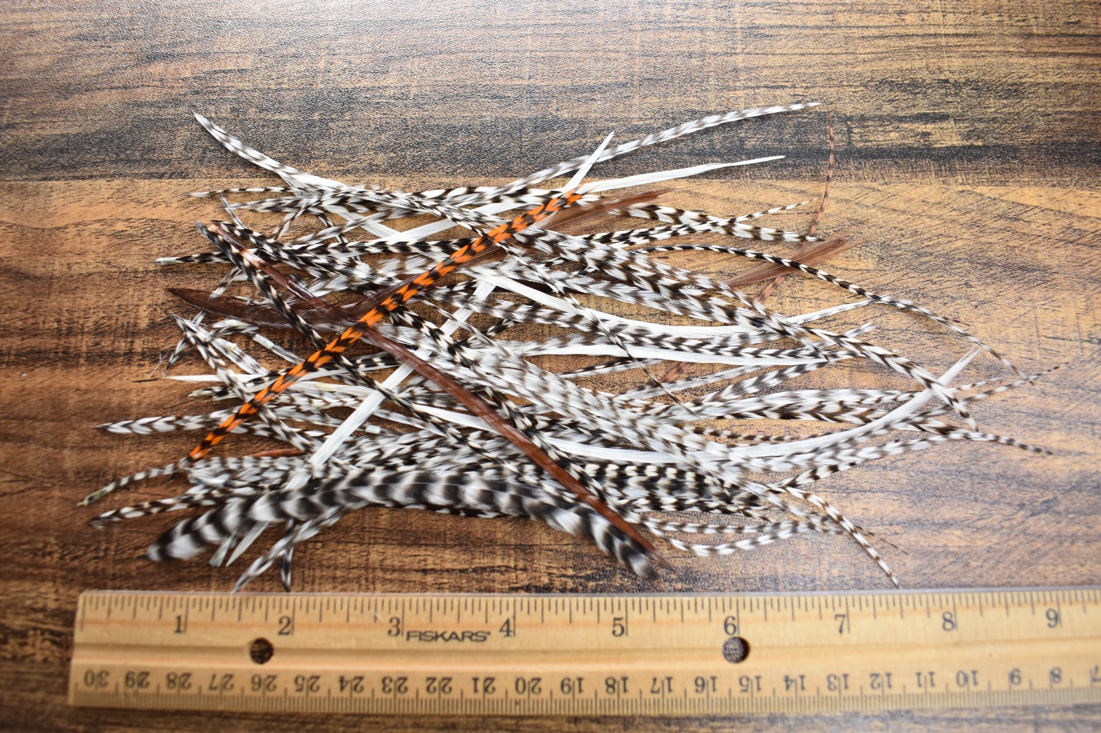 Lot 19,   50 Dry Fly Feather Feathers SHORT SHORTS for Fly Tying Jewelry
