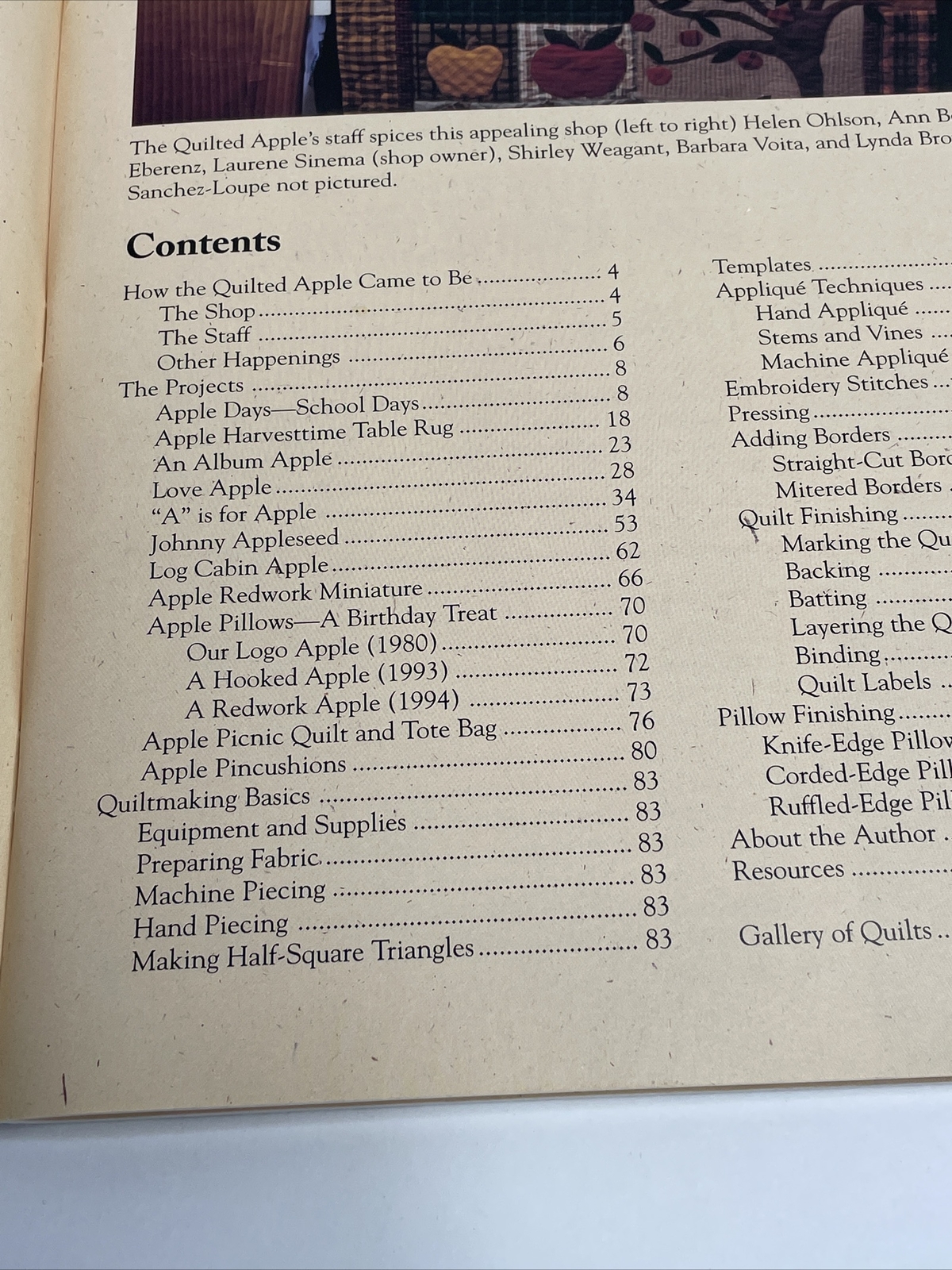 The Quilted Apple Paperback y Laurene Sinema Quilt Patterns