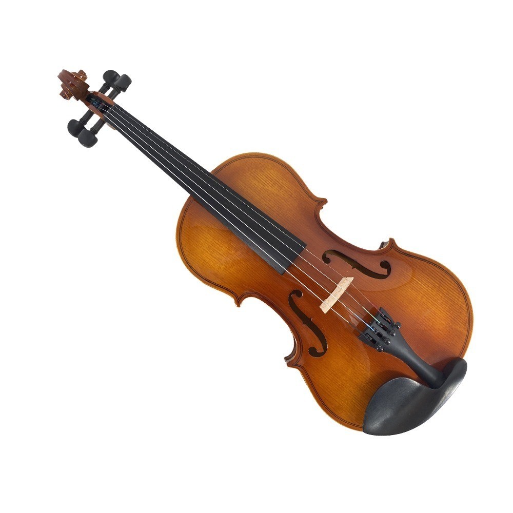 4/4 Violin Starter Kit Spruce Top Maple Back with Case Accessories Beginner Kit