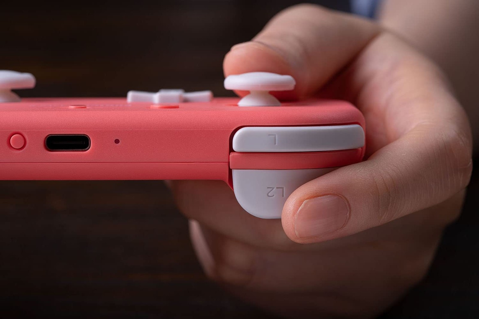 8BitDo Lite 2 Bluetooth Gamepad for Switch, Switch Lite, Android and Raspberry P