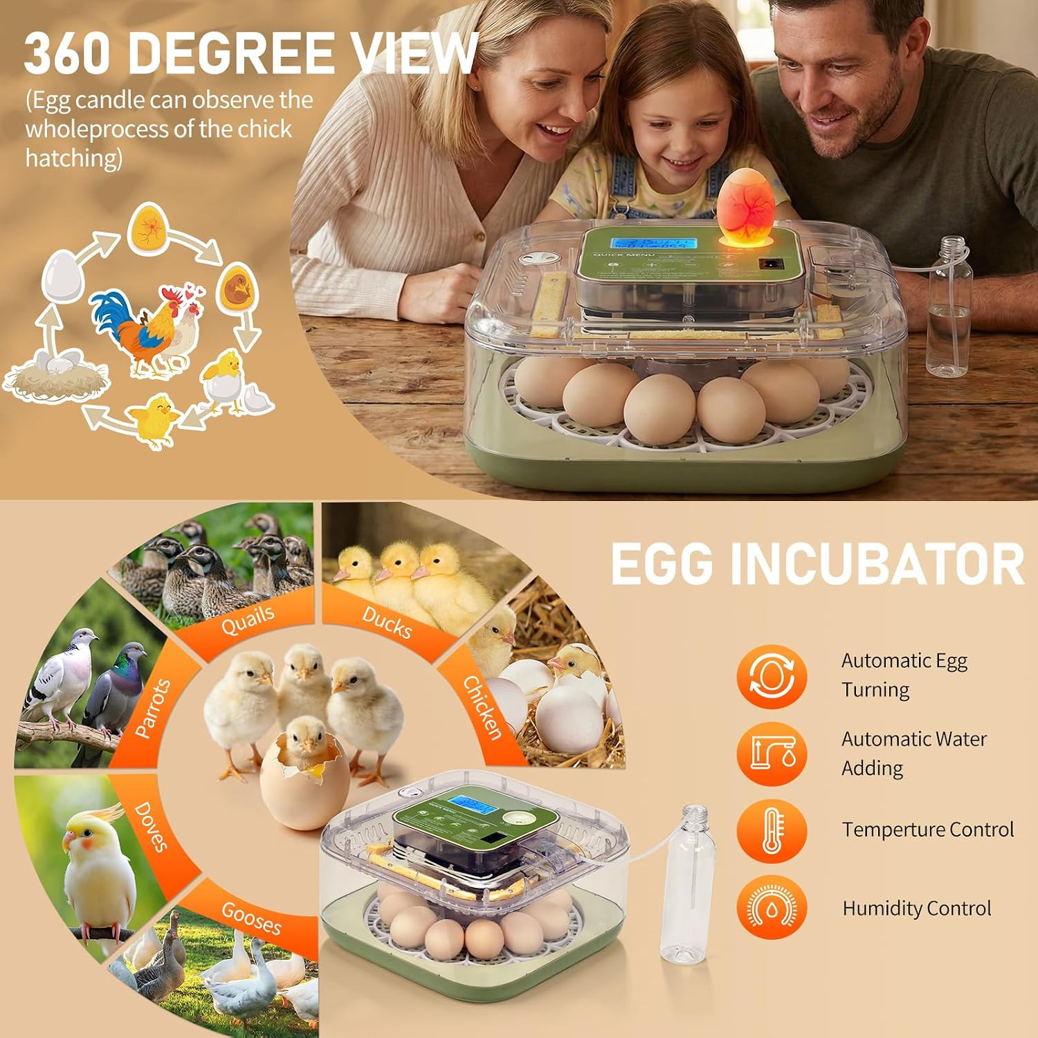 Incubators for Hatching Eggs, 12 Egg Incubator with Automatic Egg Turning, Tempe