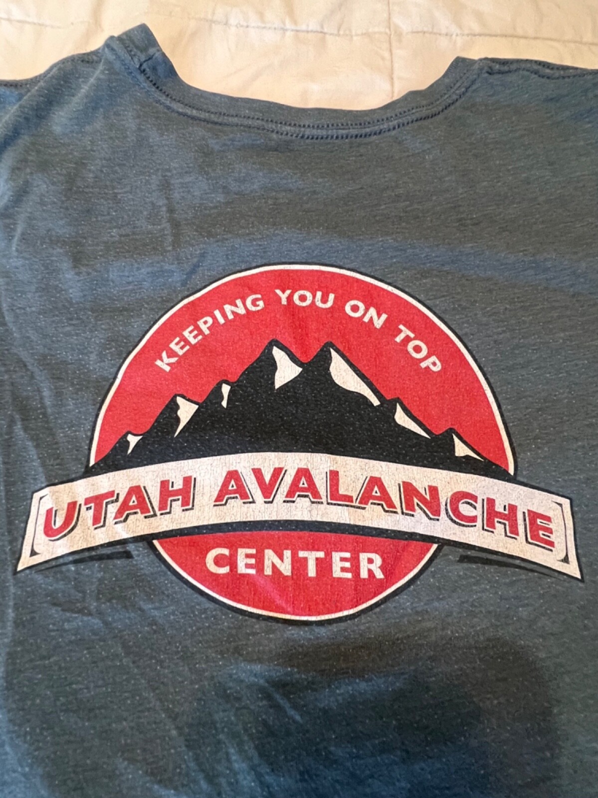 Utah Avalanche Center Ladies T Shirt Ladies size Large? Skiing Utah Snow Ski