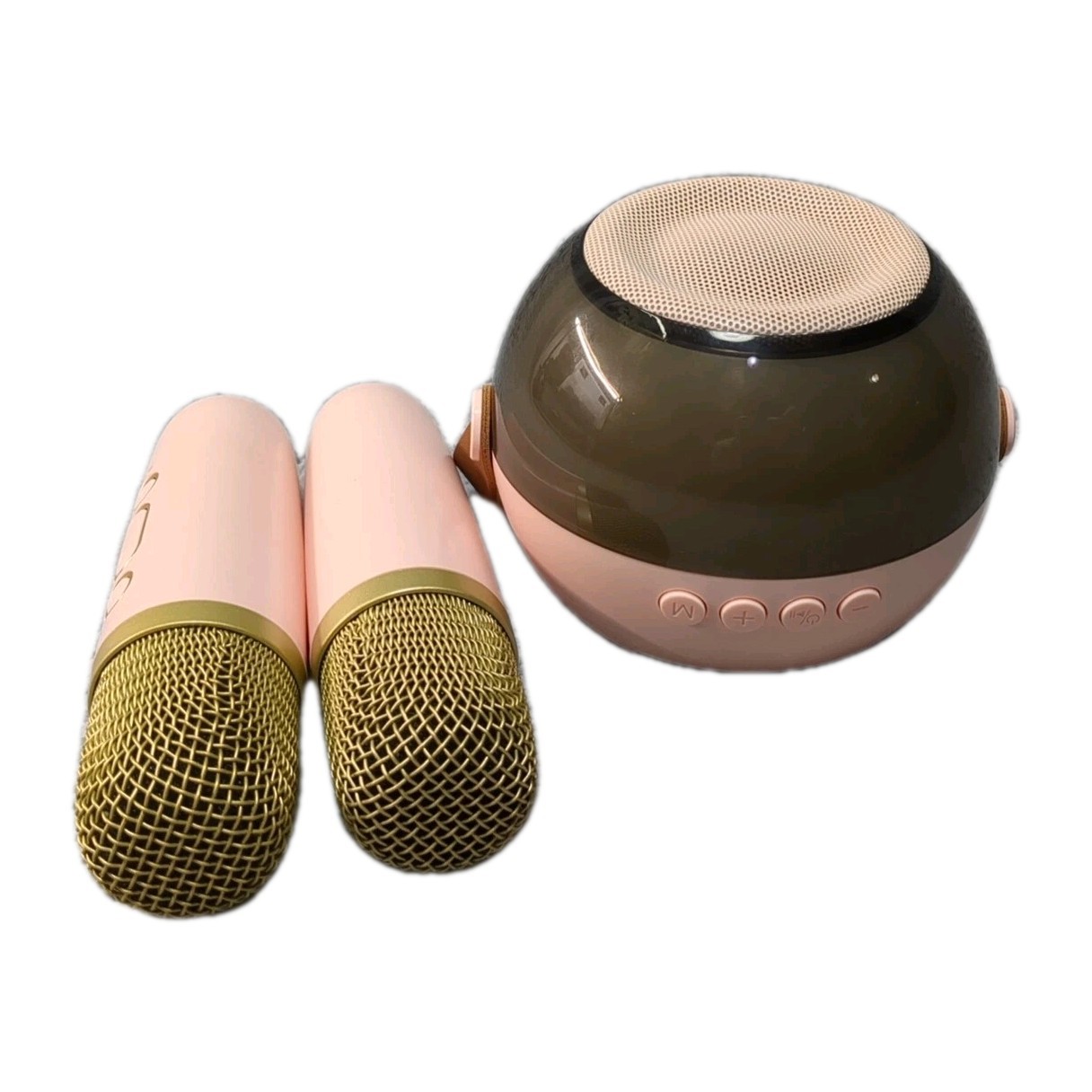 Bluetooth Karaoke Speaker And 2 Microphones for Kids Pink