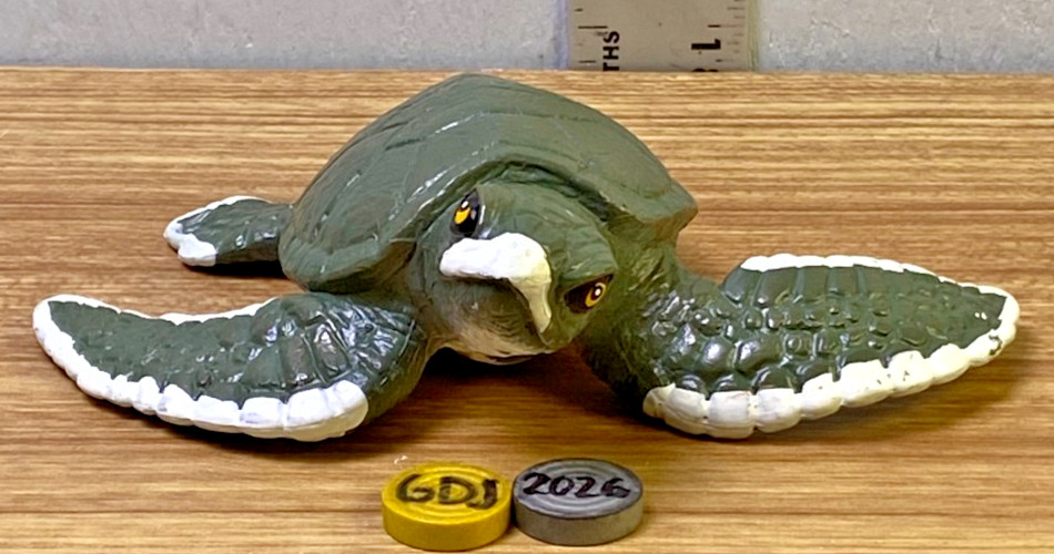Green Sea Turtle, 5" CH376 BB141 - GDJ-P-986