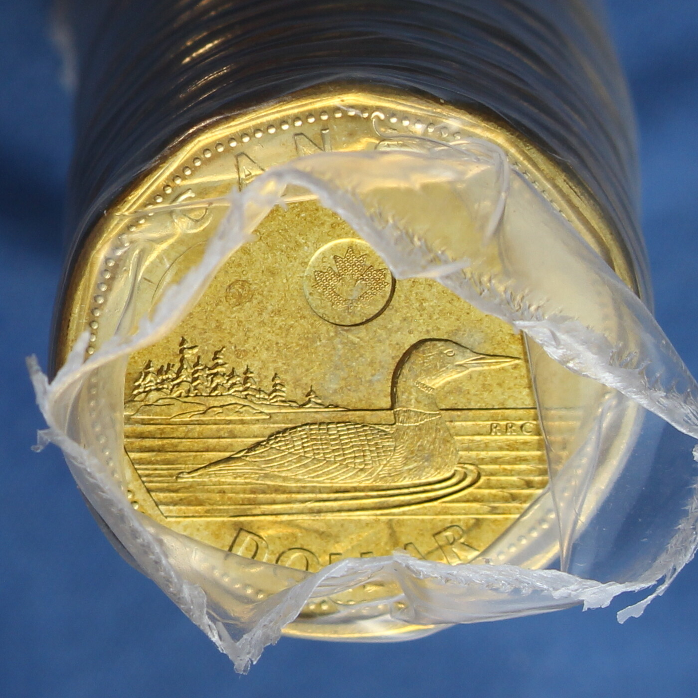 Canada 2013 Loonie (One Dollar) from a Mint Roll