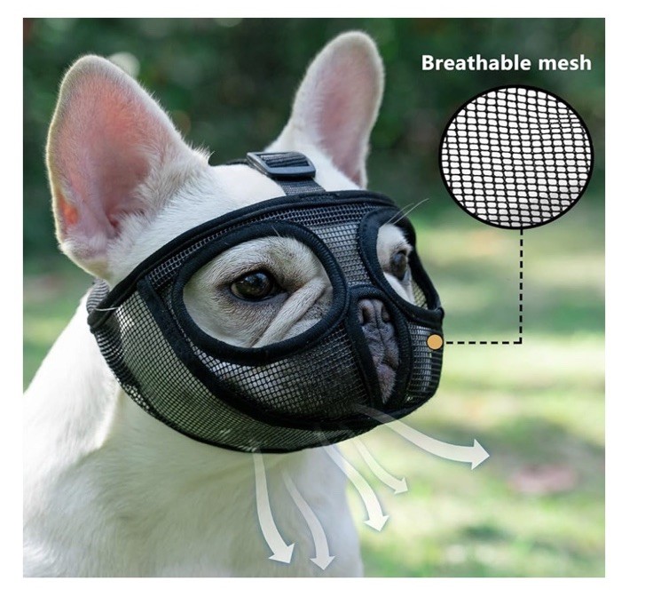 Dog Short Snout Licking (S/Black) New