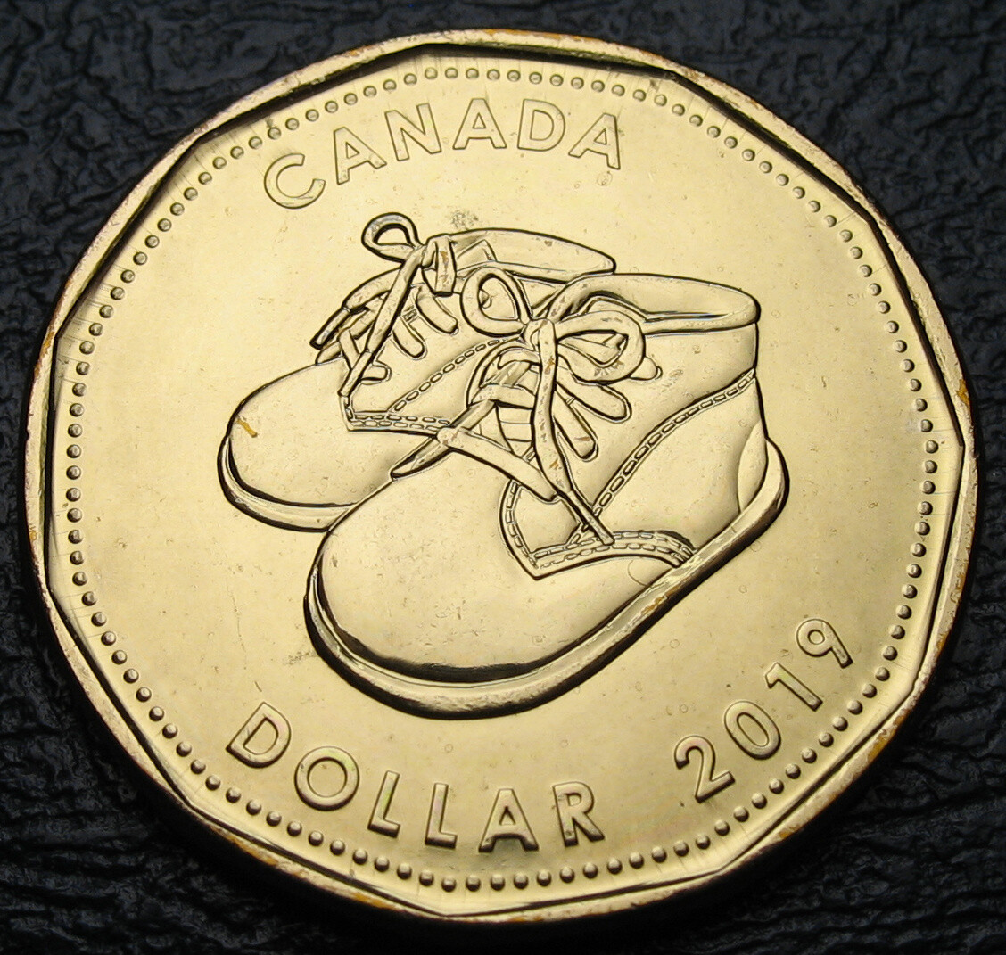 Canada 2019 $1 Baby BU ( One coin removed from a new set, not a whole set )