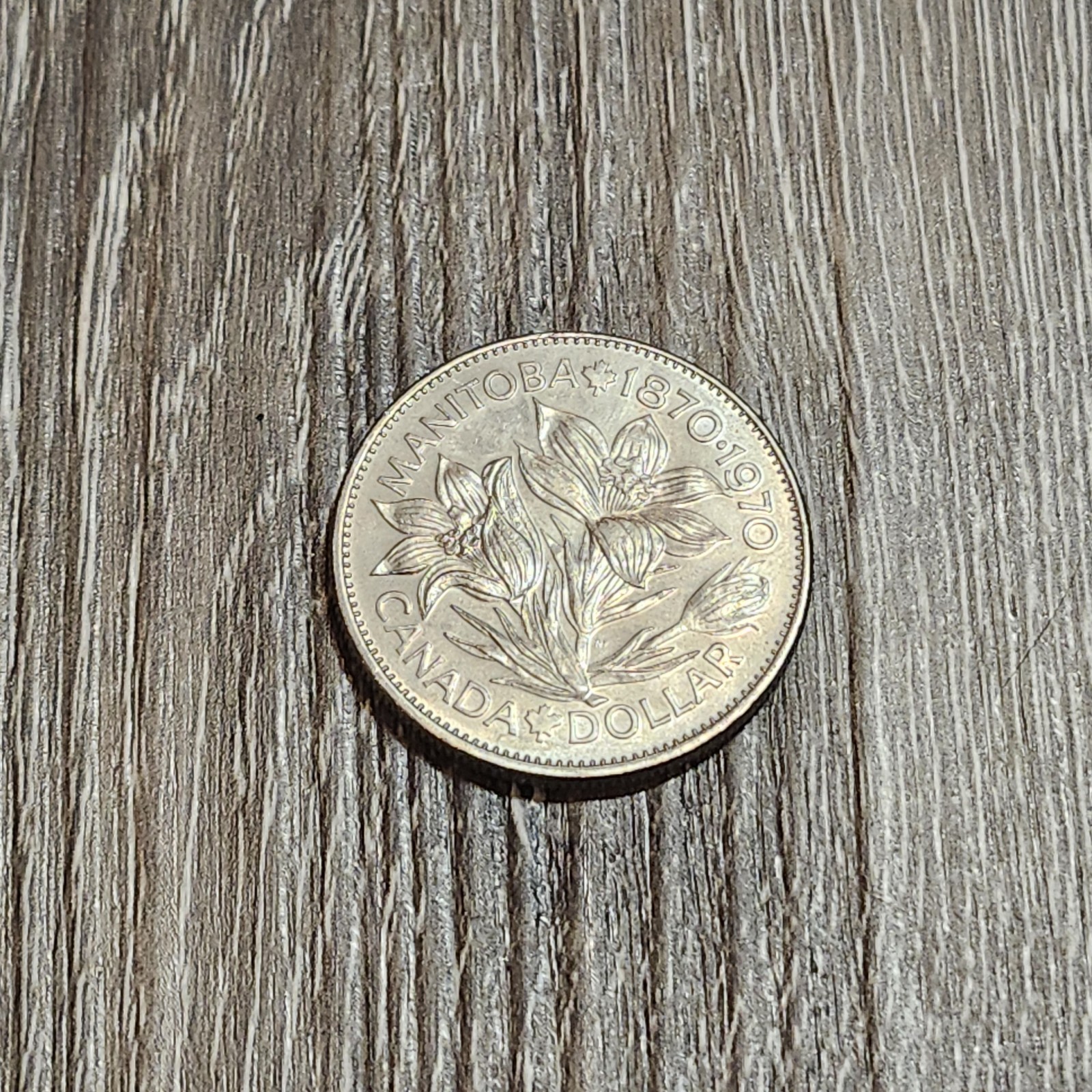 Canada 1870-1970 Manitoba centennial large dollar $1 Lightly Circulated
