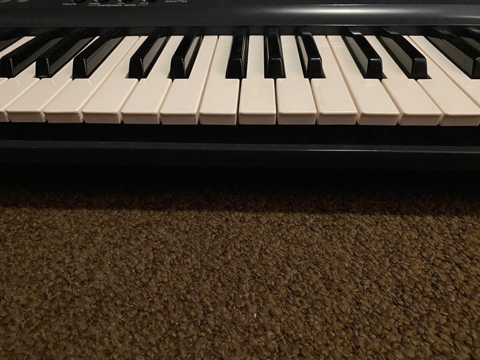 Korg 707 Performing Synthesizer