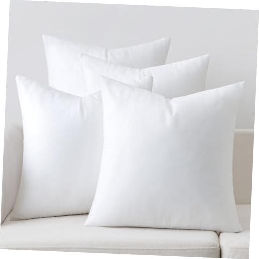 Pillow Insert Set of Decorative Throw Pillow Inserts | Premium 20x20 Inch 4