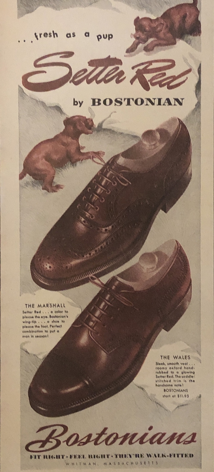 1947 Bostonian Irish Setter Red Oxford Shoes VTG 1940s PRINT AD Fresh As A Pup