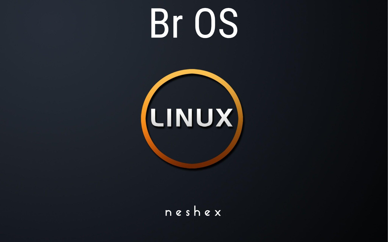 Br OS Linux Latest Bootable USB Flash Drive