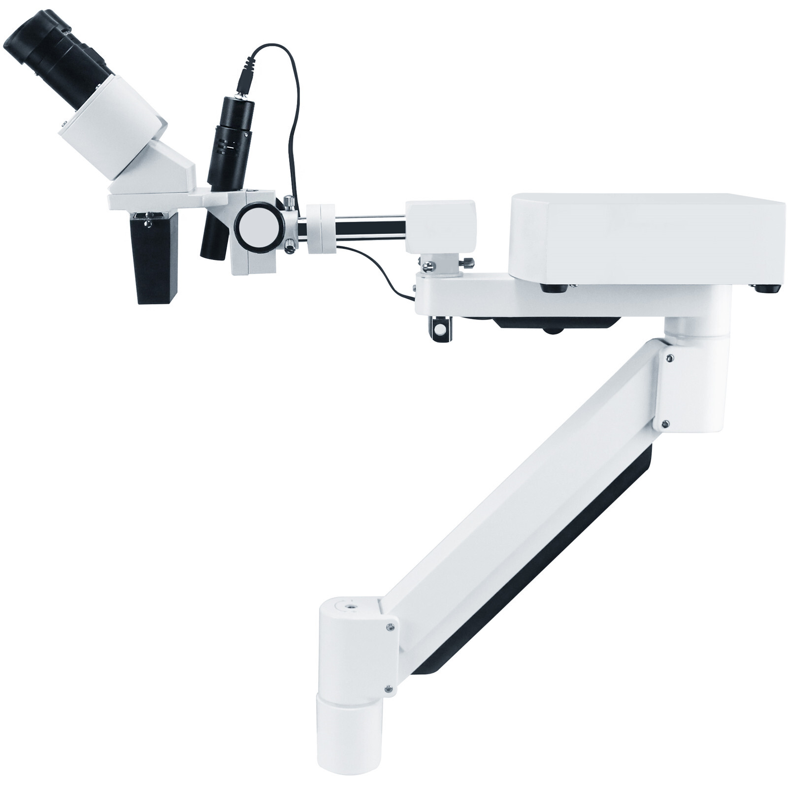 Desktop 10X Dental Stereo Binocular Microscope Surgical Root Canal Microscopes