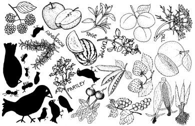 Unmounted Rubber Stamp Plate, Unmounted/Uncut Pink Rubber Stamps