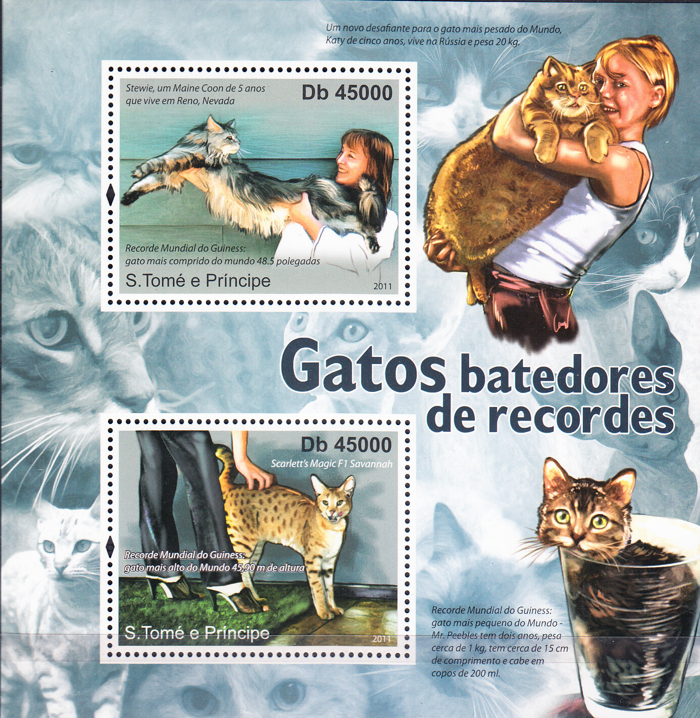 W SAINT-THOMAS 2404 CATS
