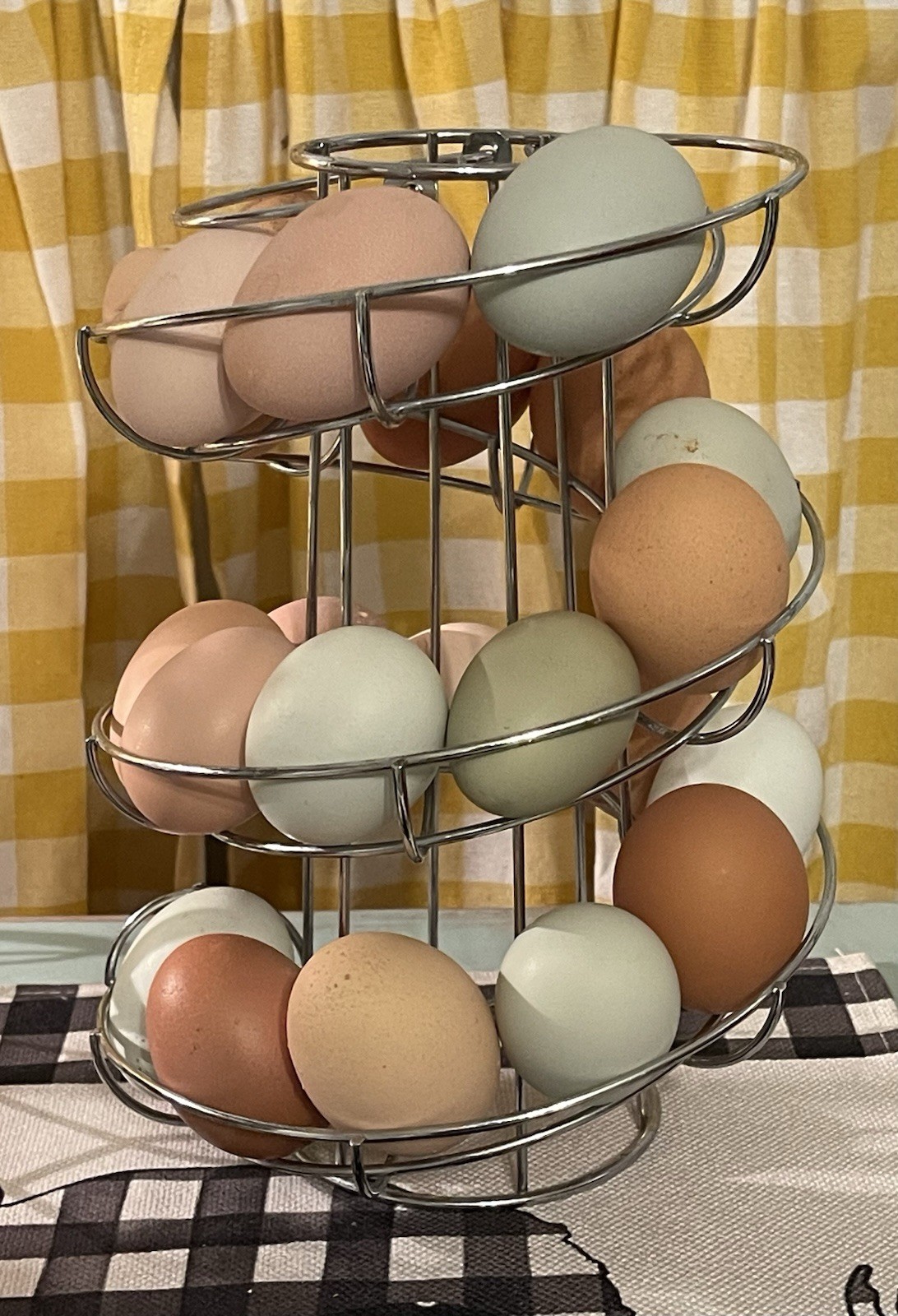6 fertile hatching chicken eggs - Beautiful Barnyard Mix