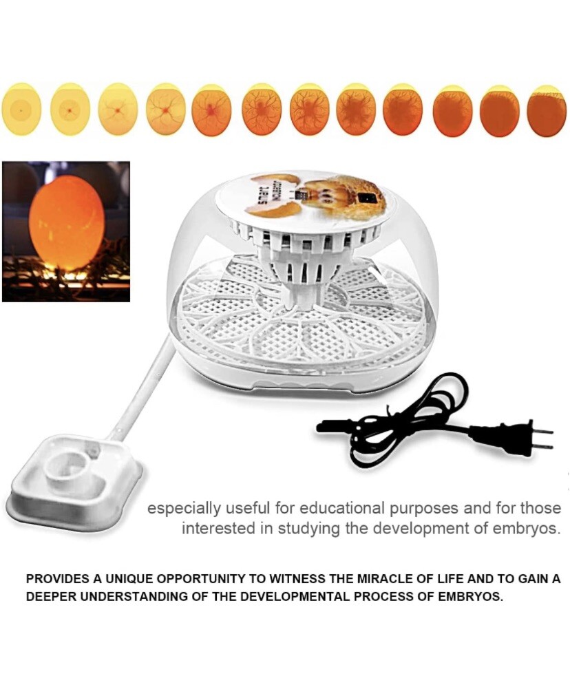 12 Egg Incubator for Hatching Eggs with Automatic Egg Turning Temperature