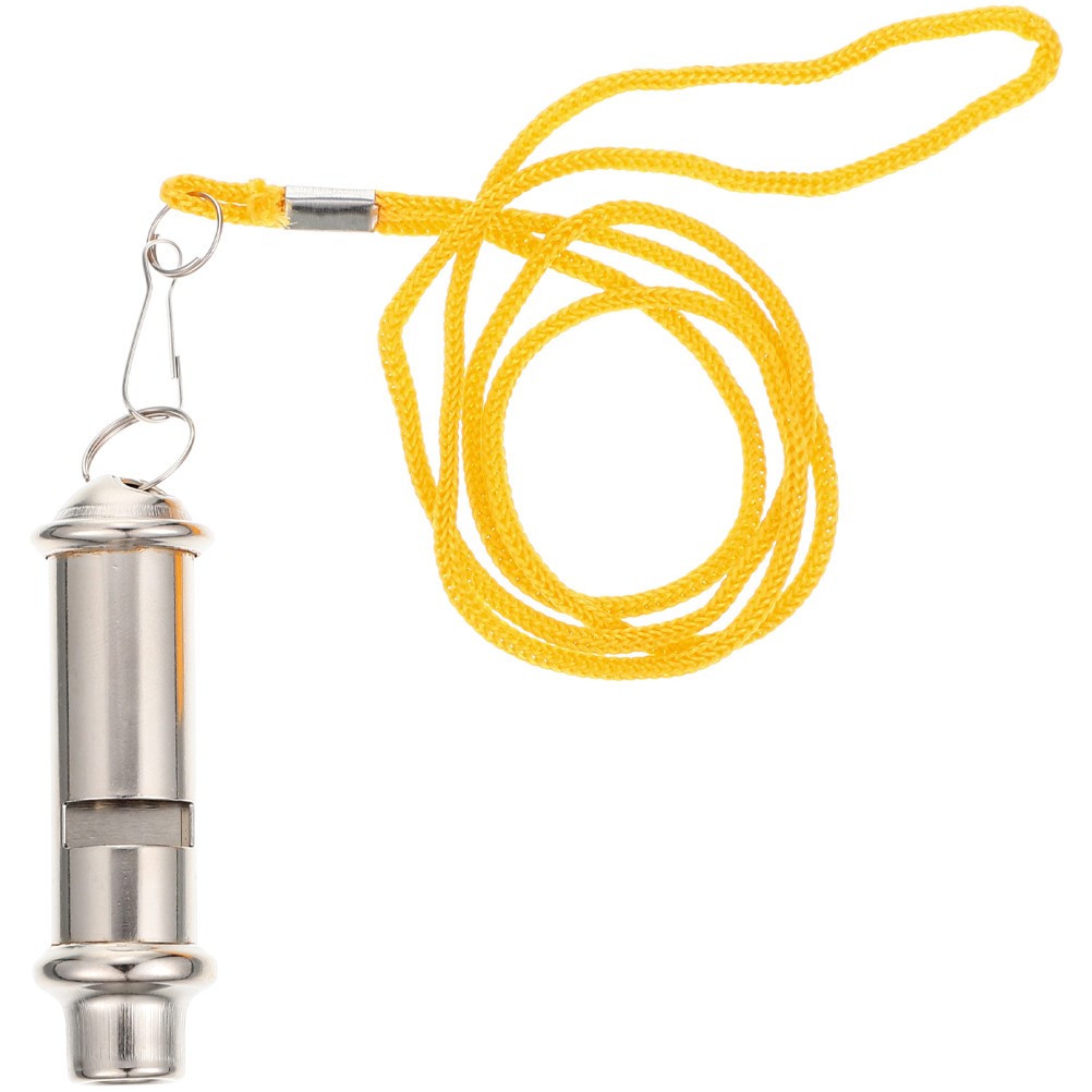 Bird Training Whistle Pet Training Gadget Pigeon Supply (Silver)