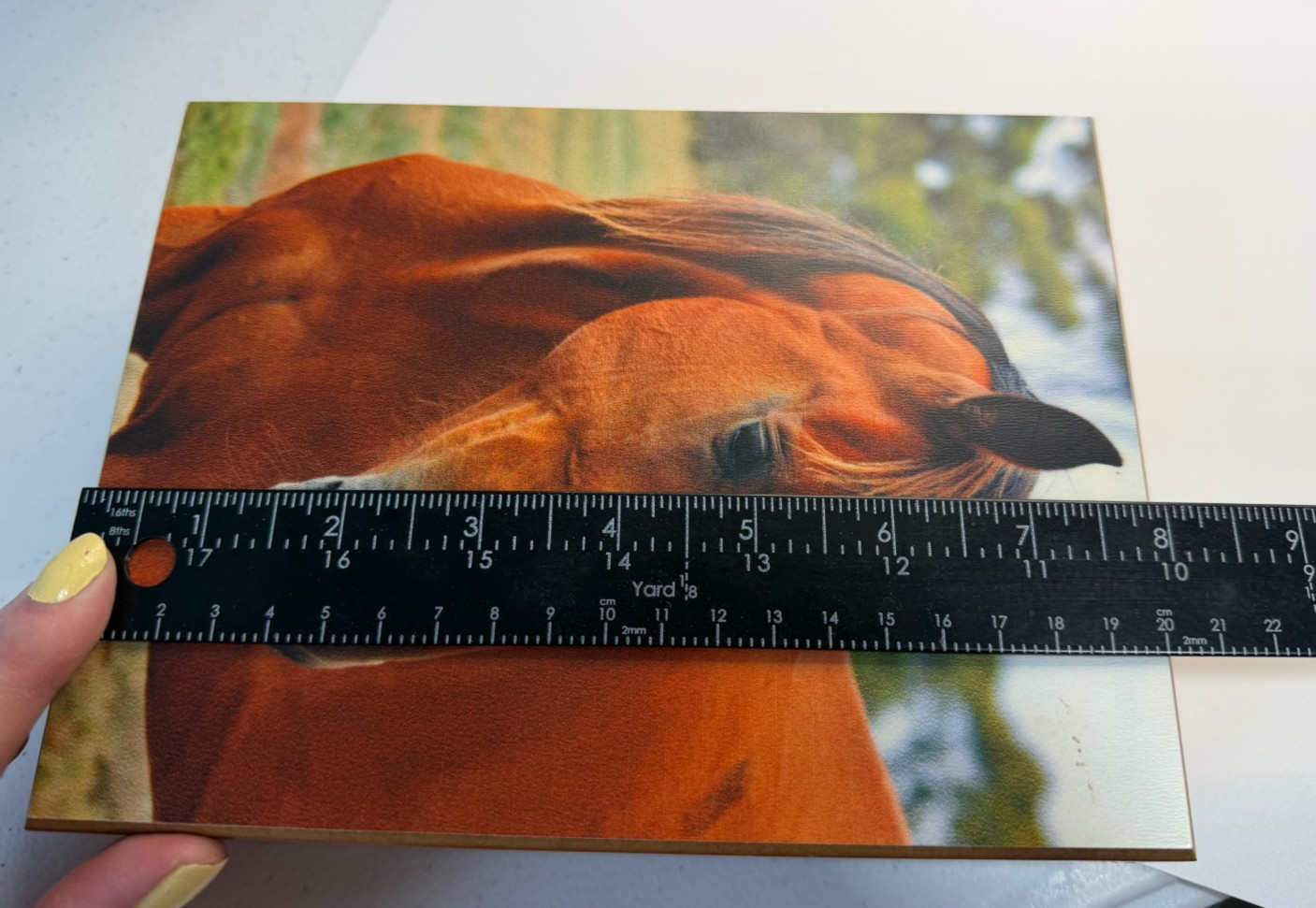 Unbranded Horse Print Cedar Keepsake Memory Box 8" x 6"