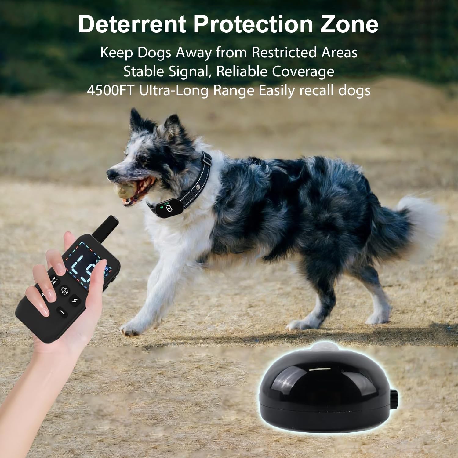 KIP Dog Training Collar with Deterrent Device, Waterproof E-Collar
