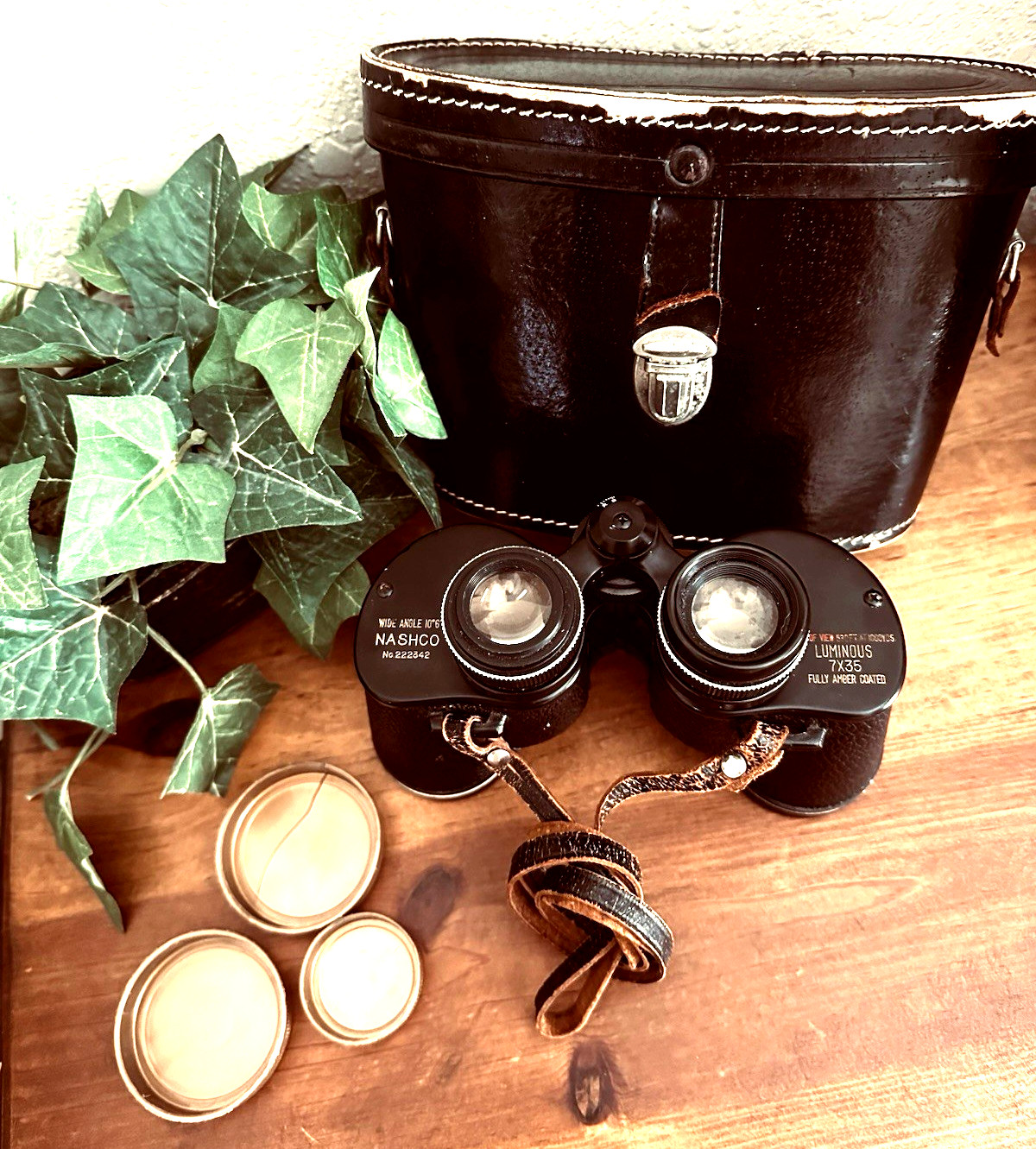 Vintage '60's NASHCO Binoculars w/case Japan J-B56 Ultra Wide Angle 7X35 working