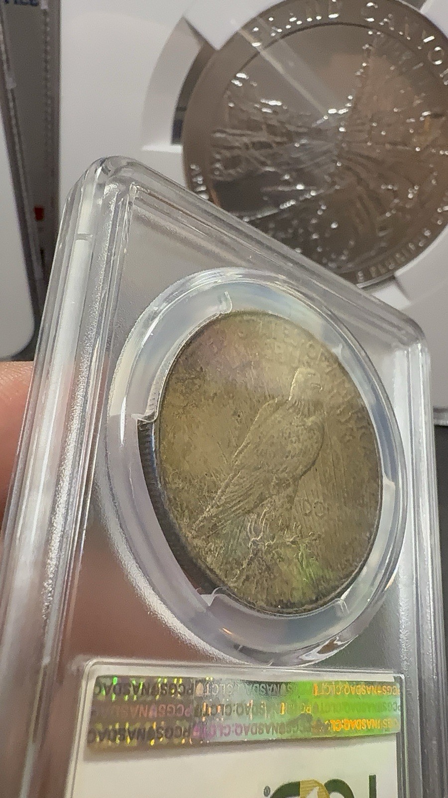 BEAUTIFUL! 1923-D Peace Silver Dollar, PCGS MS-64!