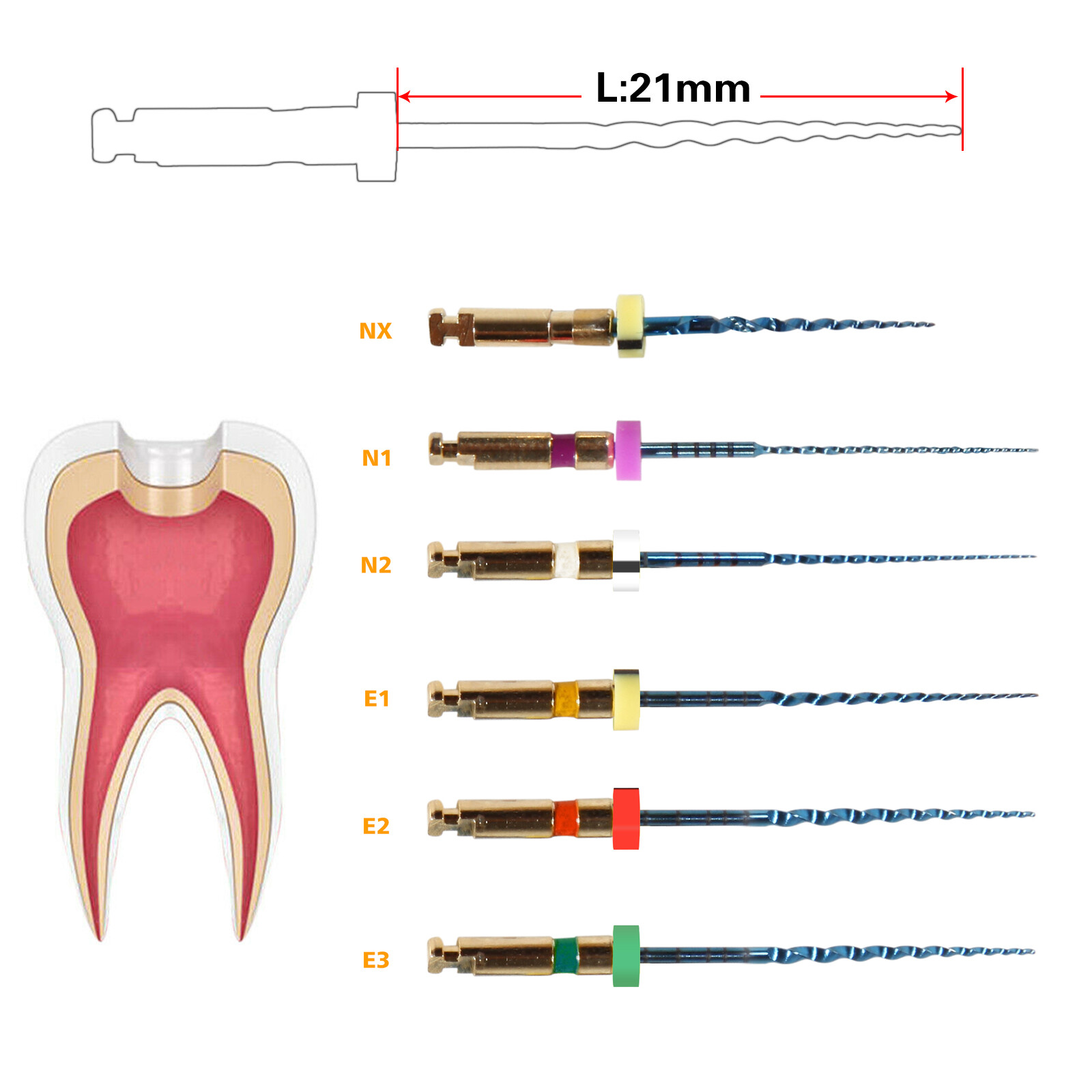 Dental Reciprocating Endo Root Canal Niti Rotary Primary File Engine Use 25mm OR