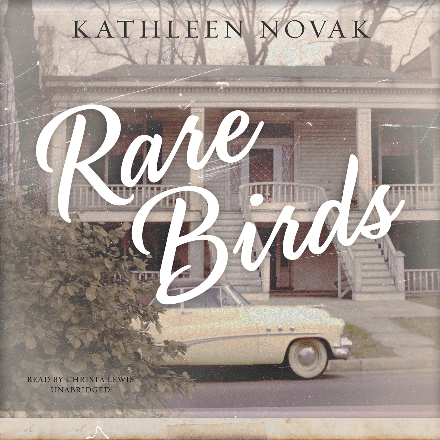 Rare Birds by Kathleen Novak 2017 Unabridged CD 9781470813147