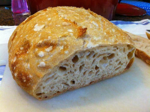 sourdough starter yeast BOLD SOUR ACTIVE AND OVER 150 YRS OLD  RECIPE SITE ALSO