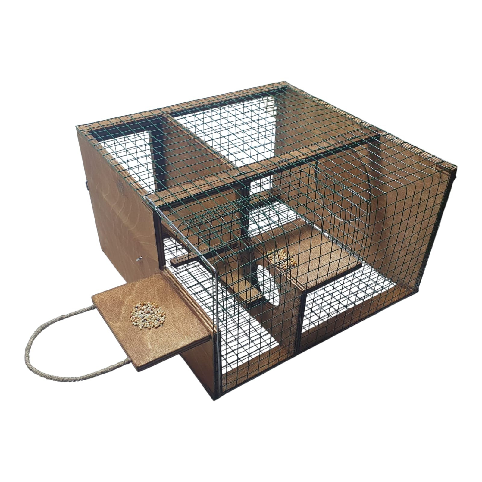 Strong Model Sparrow Bird Trap. Non Stop Condition. Elevator Type Trap Bird Live