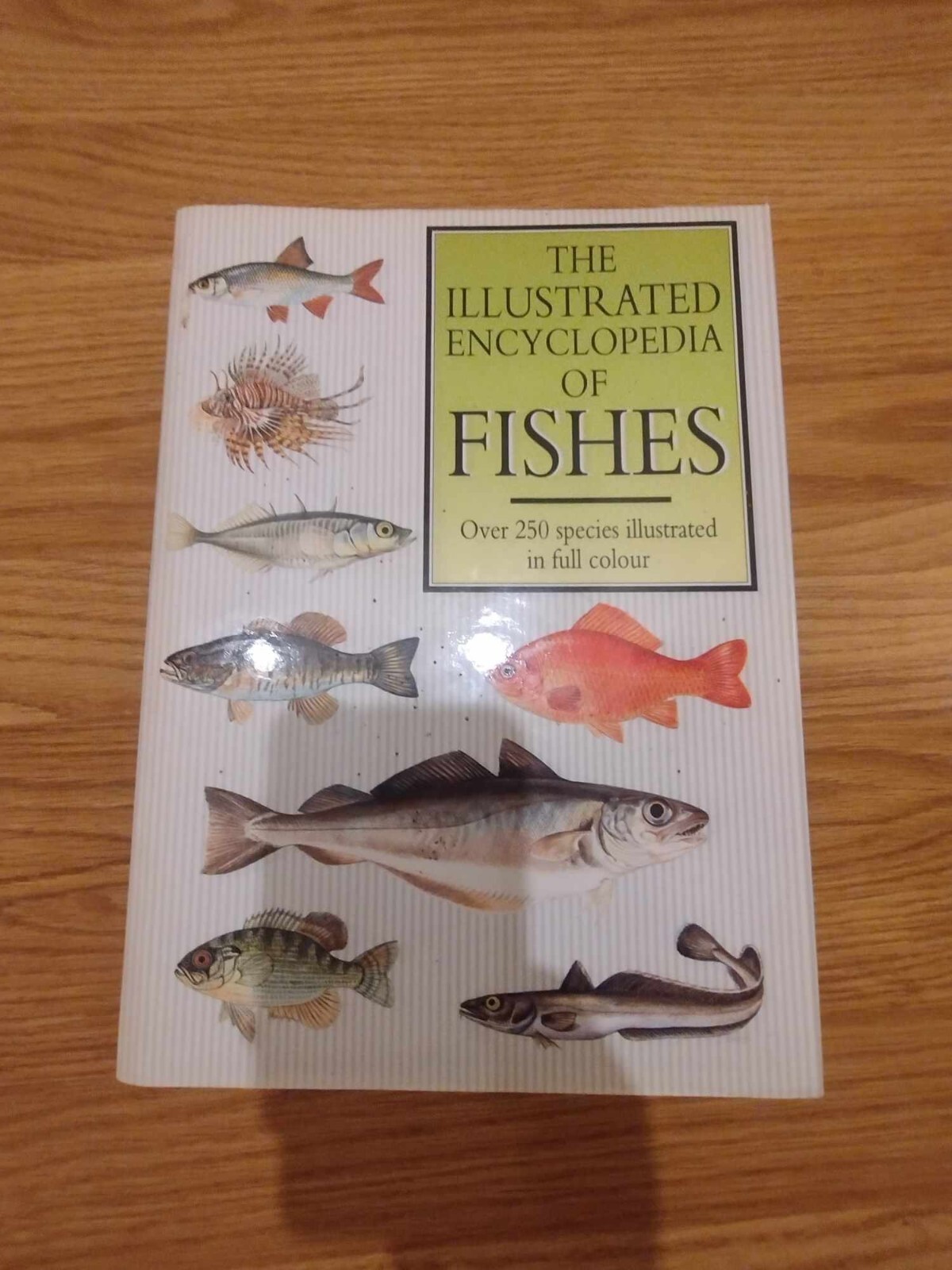 THE ILLUSTRATED ENCYCLOPEDIA OF FISHES Over 250 species illustrated