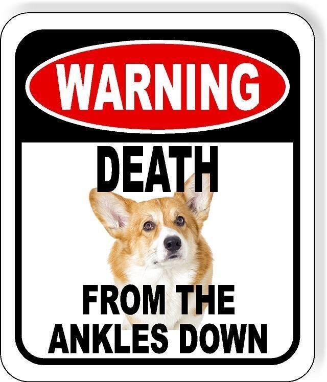 Warning Death from Ankles Down Corgi ankle biter aluminum Composite Sign funny