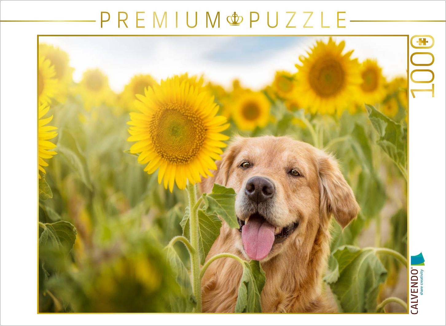 CALVENDO Puzzle Golden Retriever im Sonnenblumenfeld | 1000 Teile Lege-Größe 64x