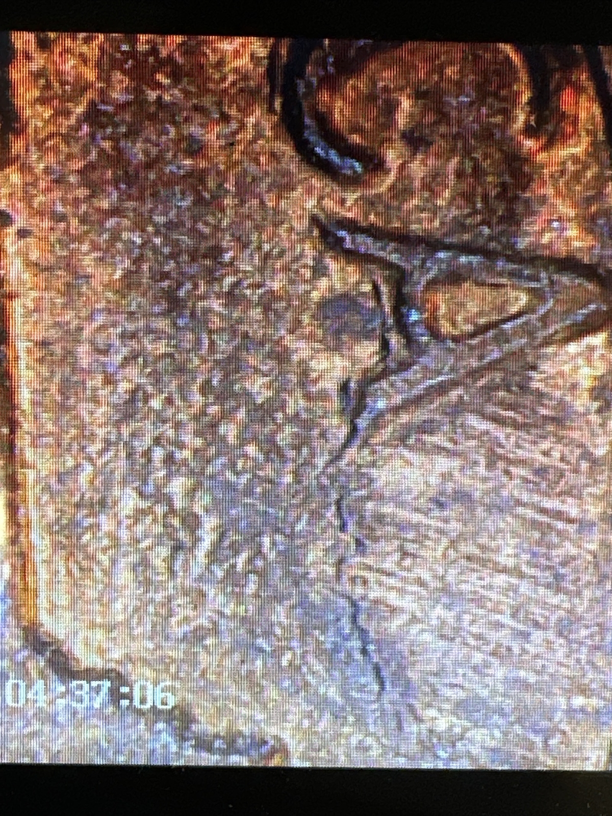 1984 Lincoln Cent With Reverse Clash Die Crack Error