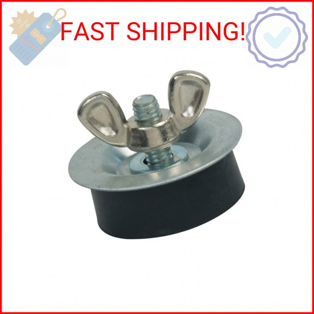 Brasscraft Manufacturing Company Econo Plug 2"