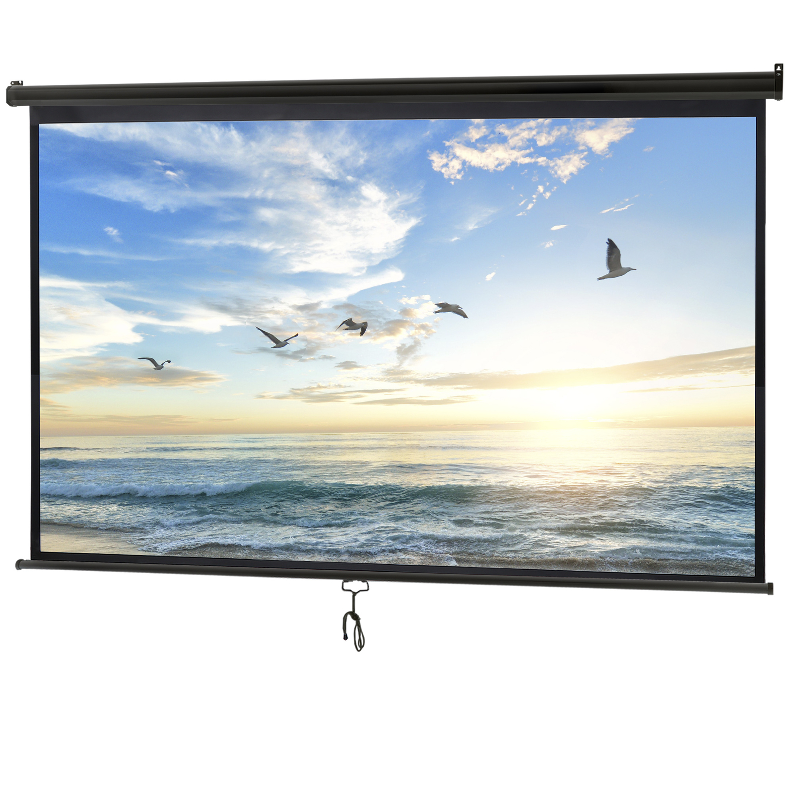 100" Projection Screen Manual Pull Down 16:9 HD Projector Home Theaters Movie