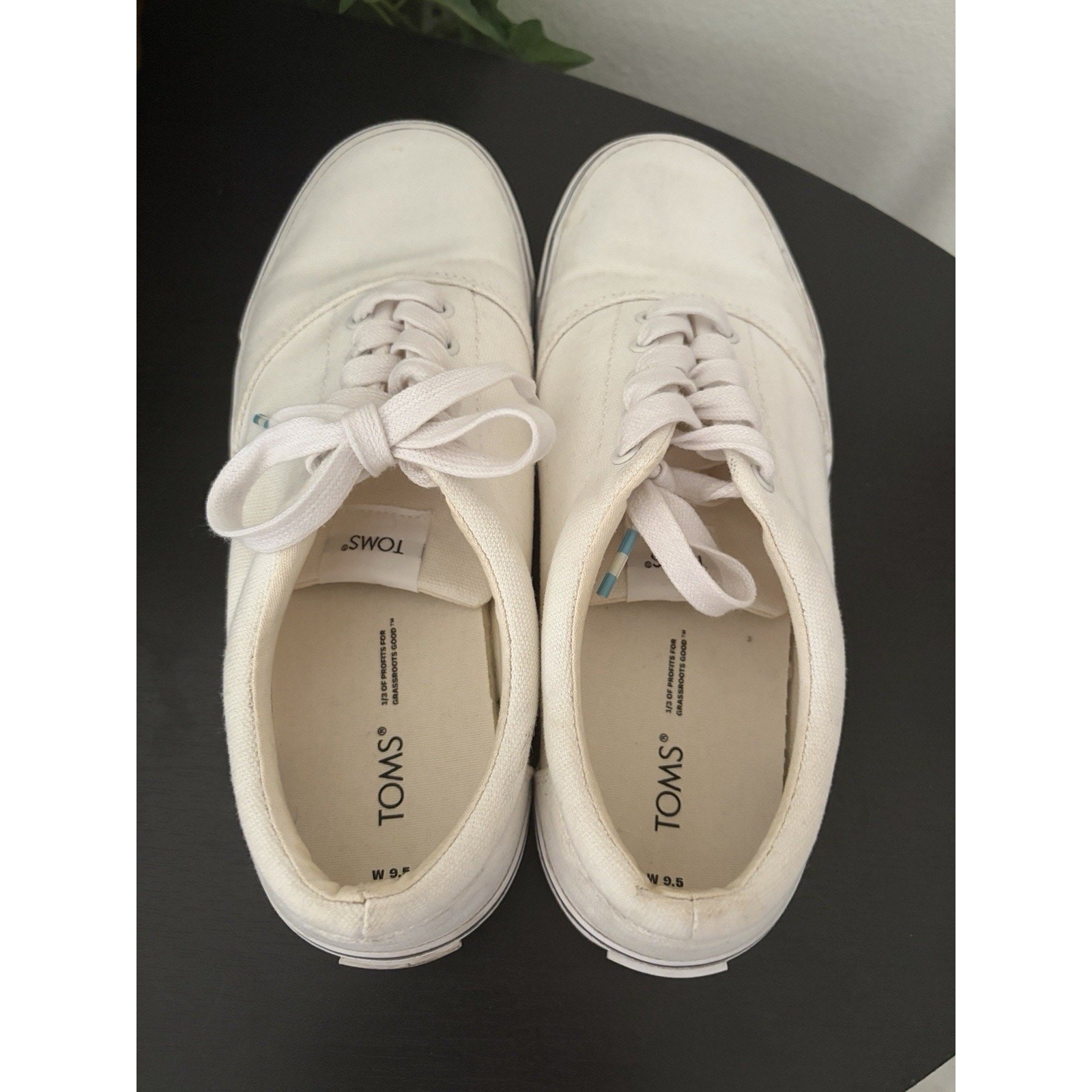 Tom’s - Alex Sneaker Women’s 9 1/2