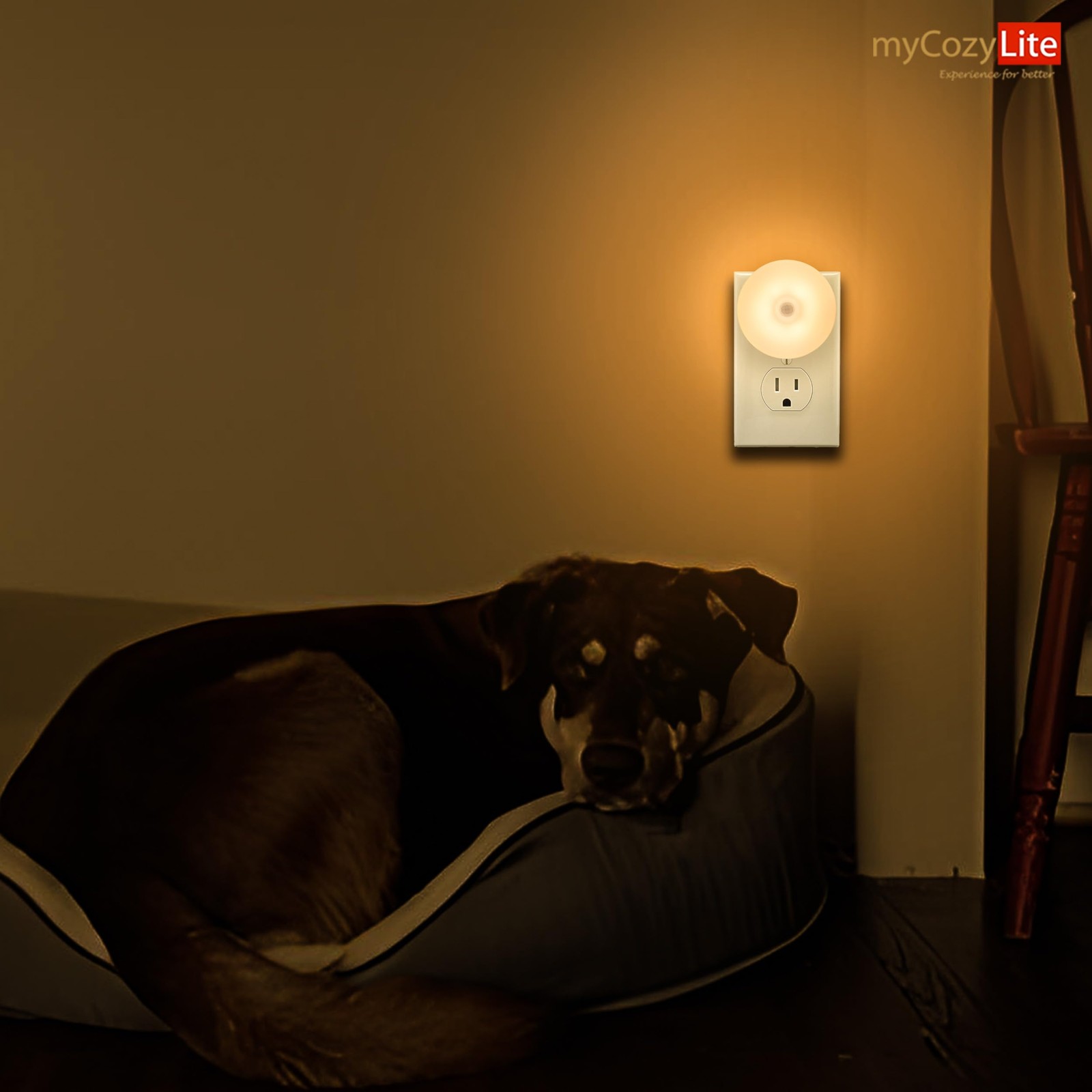 Motion Sensor Night Light, 2 Pack Activated M1803, Warm White
