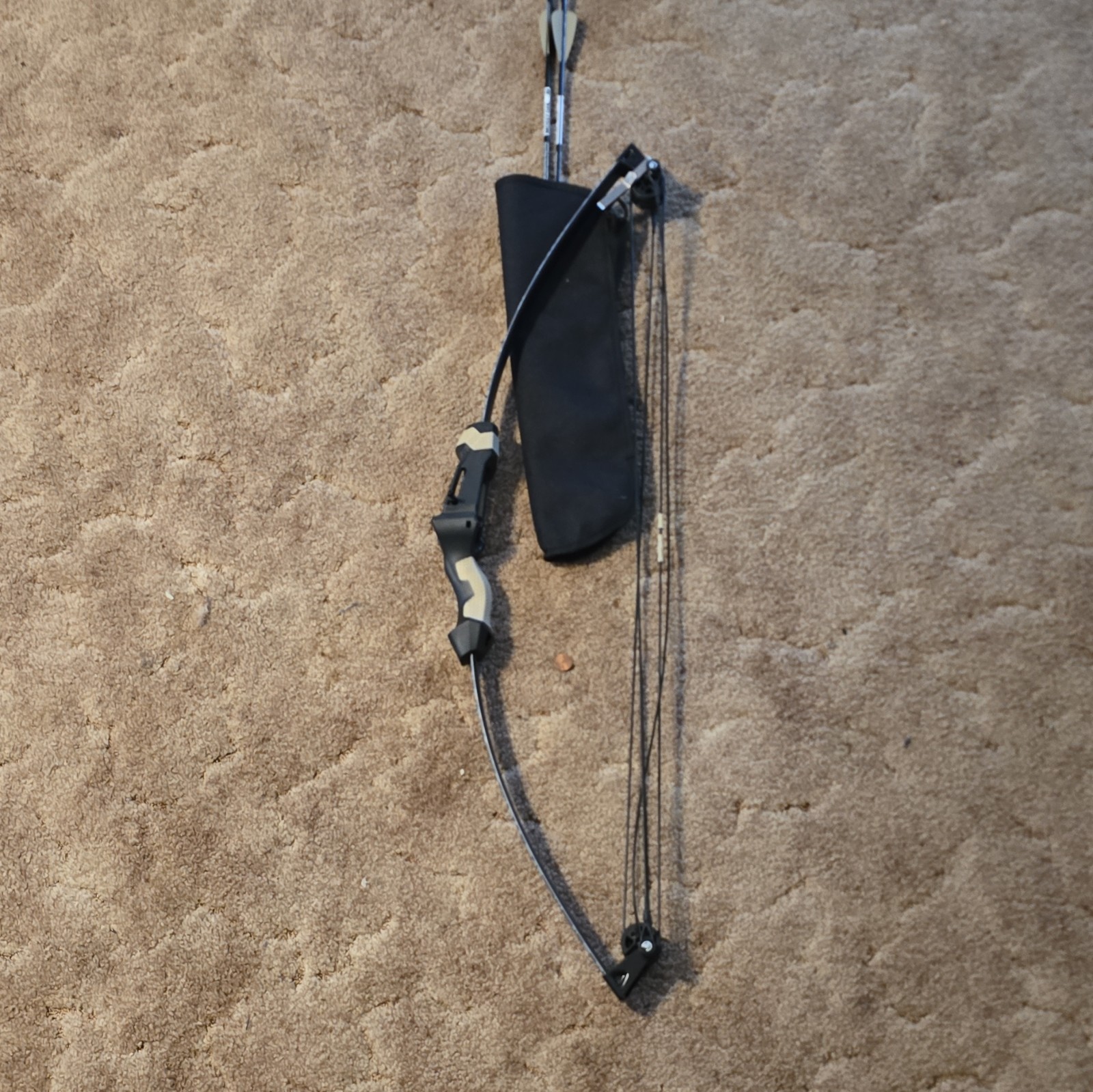 Mossy Oak Youth Compound Bow Black/Gray w/ Soft Case, & Arrows