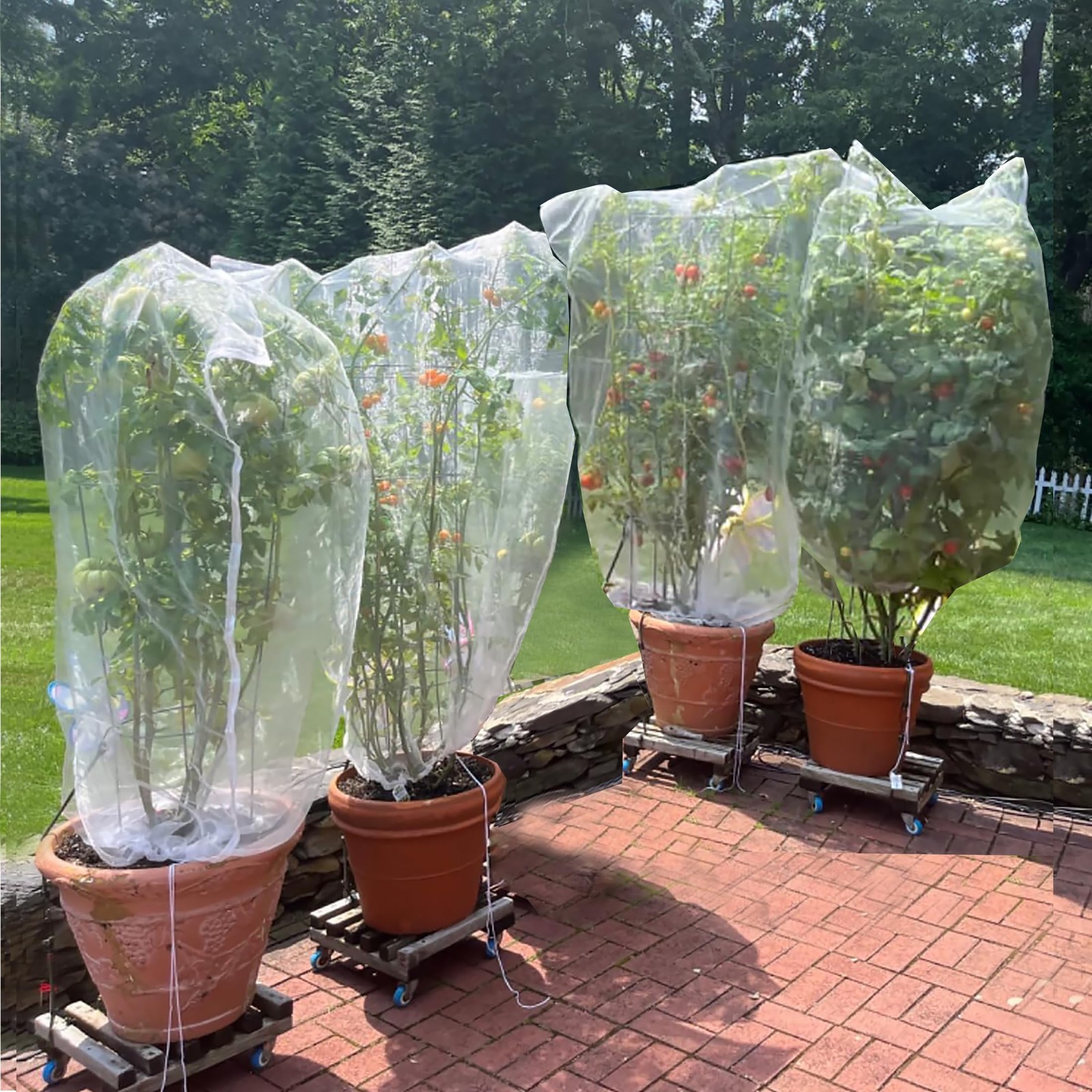Drawstring Blueberry Netting for Bushes (4 Pack 3.28×2.62FT, White