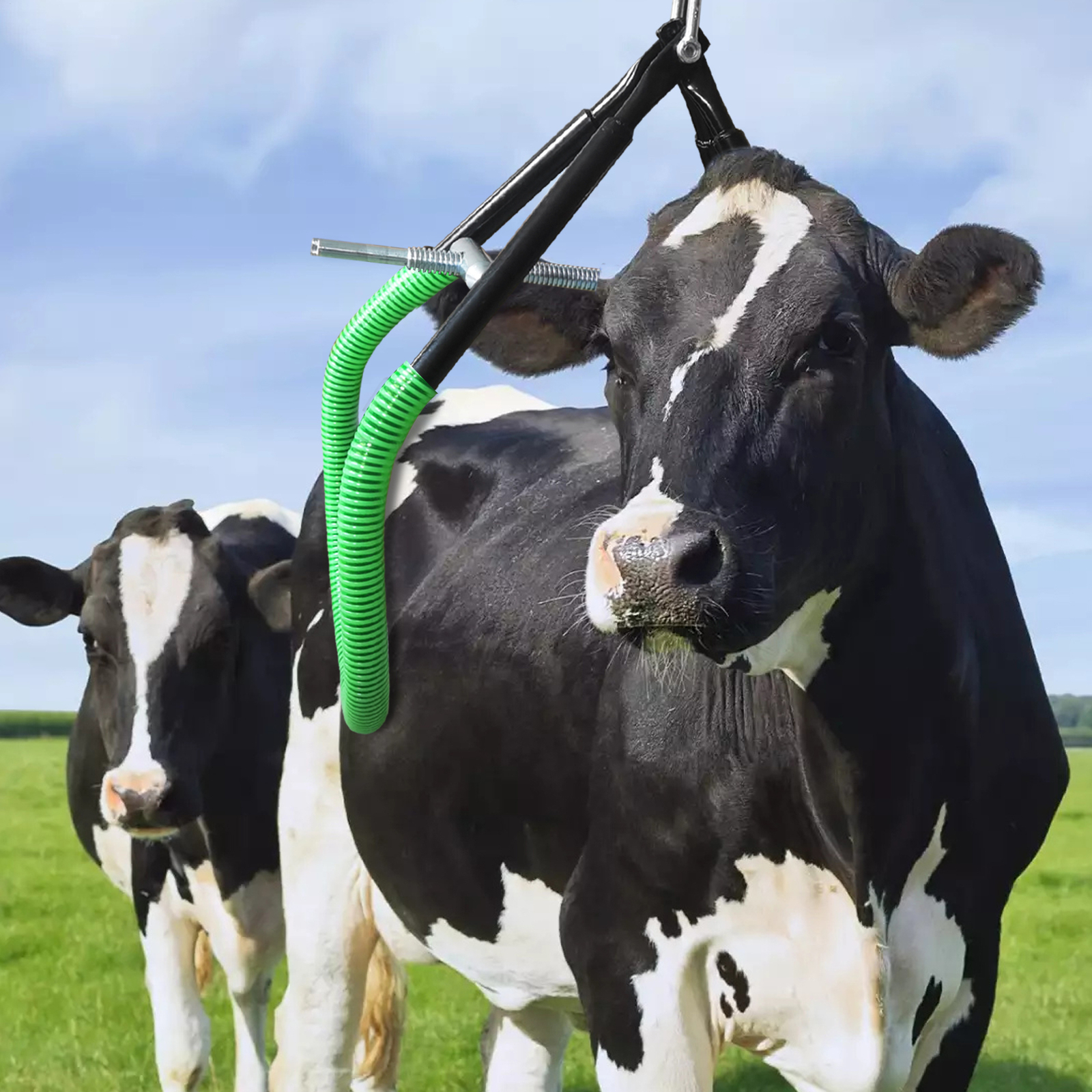 1 PC Lame Cow Hip Lift Farm Supply Stand Animal Load Bearing 1T/1000KG
