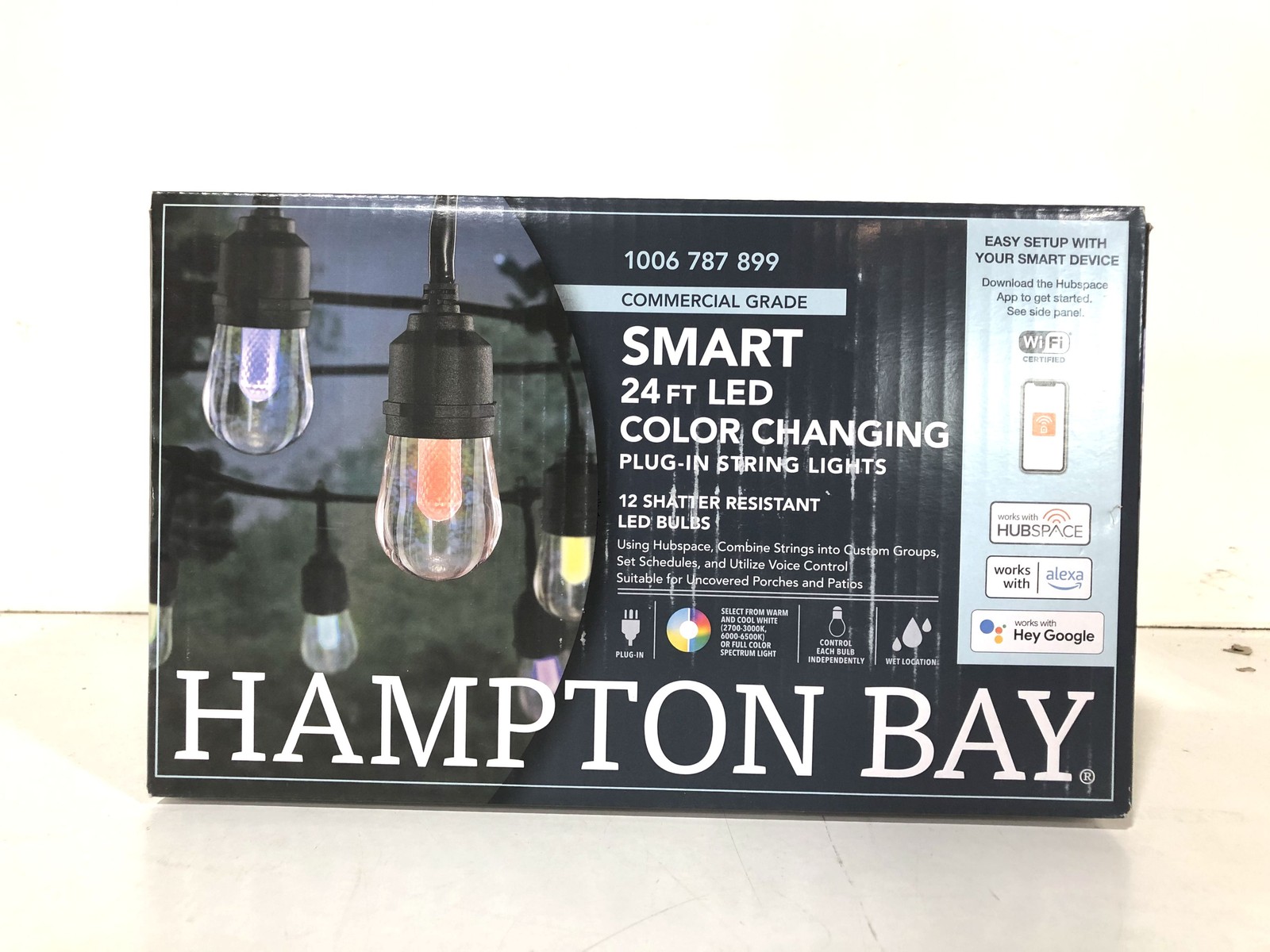Hampton Bay Smart Indoor/Outdoor 12-Light 24 ft Plug in String Light