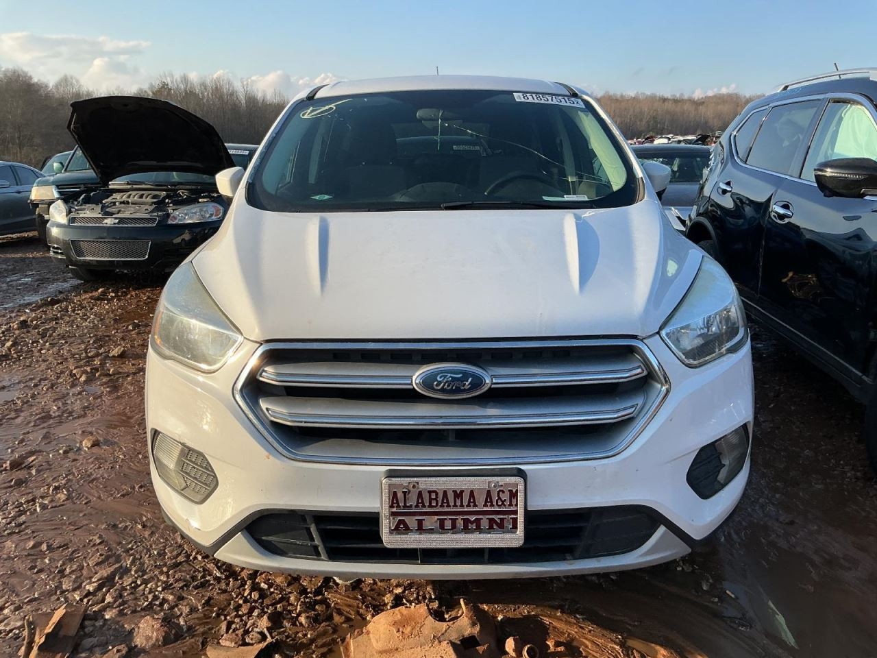 Air Bag Driver Wheel Sync Fits 17-19 ESCAPE 4950103