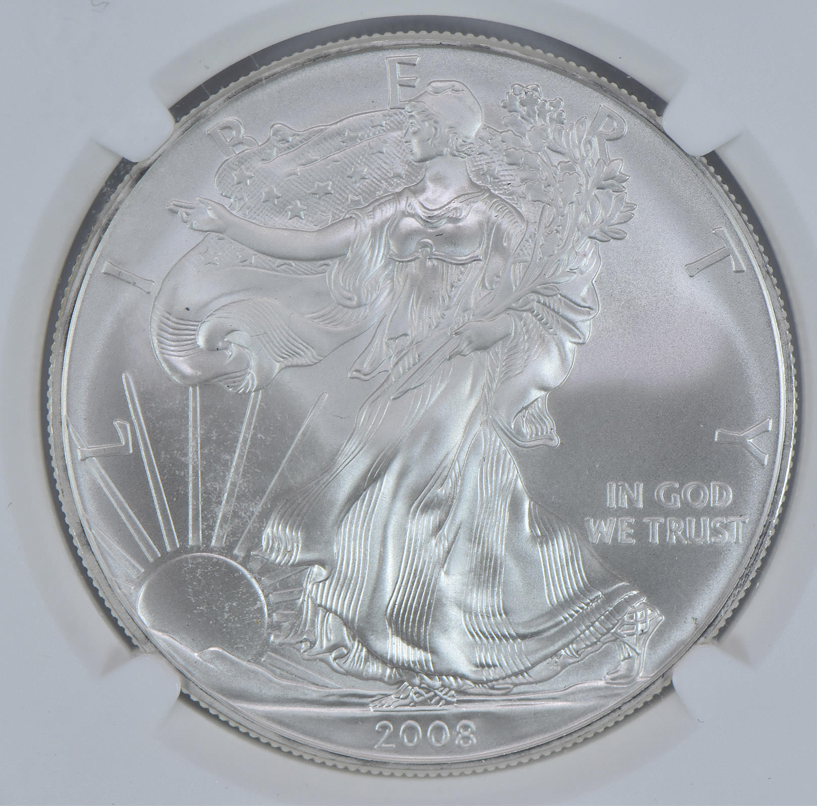 2008 American Silver Eagle Mint State 10 NGC X NGCX