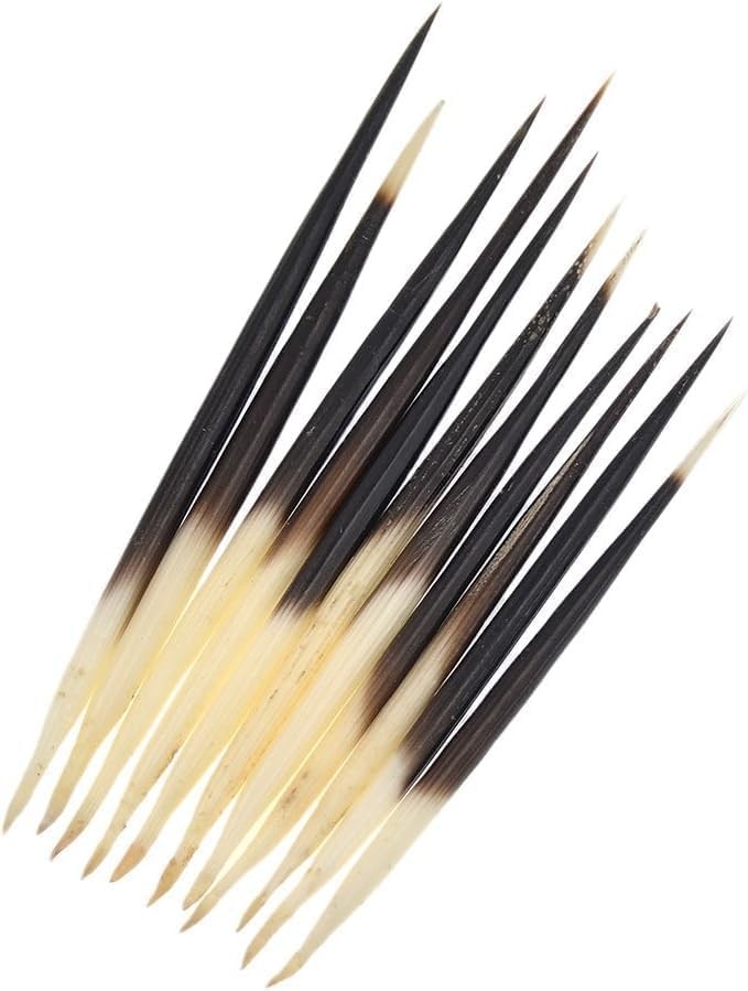 10Pcs Black Porcupine Quills Hair Stick Indian Crafts Accessories White