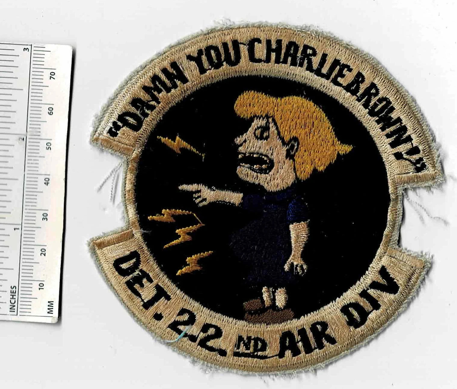Vietnam War "DAMN You CHARLIE BROWN!" Detachment 2.2 Air Division Squadron Patch